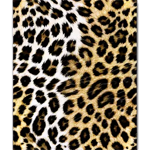 Leopard Print Vector PNG Pcq PNG
