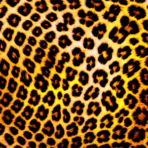 Leopard Spots D PNG image