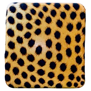 Leopard Spots Png 14 PNG image