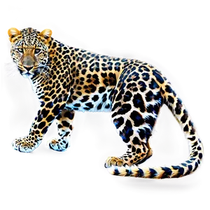 Leopard Tail PNG 06242024 PNG