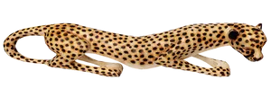 Leopardin Motion Black Background PNG