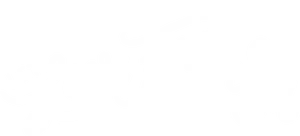 Let Love Flourish Calligraphy PNG image