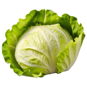 Lettuce Closeup Png Hxm48 PNG image