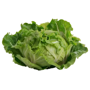 Lettuce Salad Ingredient Png 05242024 PNG image