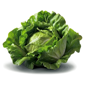 Lettuce Salad Ingredient Png 42 PNG image