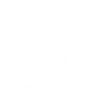Levis Commuter Logo PNG image