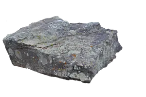 Lichen Covered Rock Isolated PNG image