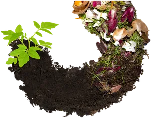 Life Cycleof Soiland Compost PNG image