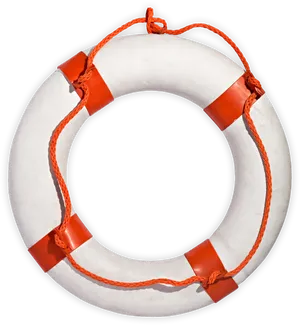 Lifebuoy Safety Equipment.png PNG image