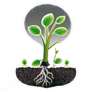 Lifecycle Sprout Png Abk58 PNG image