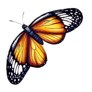 Lifelike Butterfly PNG Amg