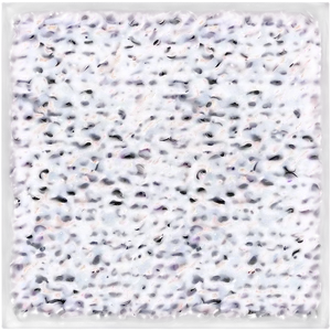 Light Dust Speckle Texture PNG 06272024 PNG