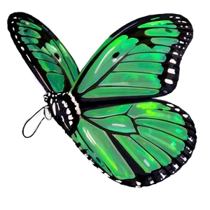 Light Green Butterfly PNG 06202024 PNG