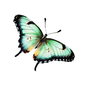 Light Green Butterfly Png 06202024 PNG image