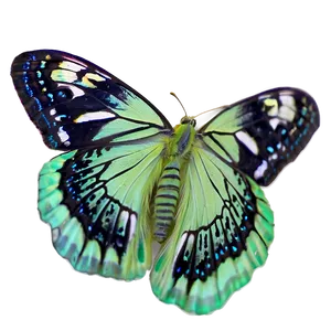 Light Green Butterfly Png 3 PNG image