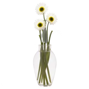 Light-up Flower Vase PNG 22 PNG