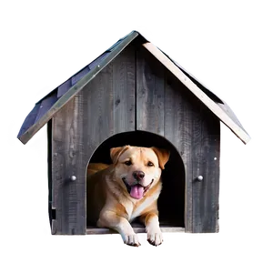 Lightweight Dog House PNG 06122024
