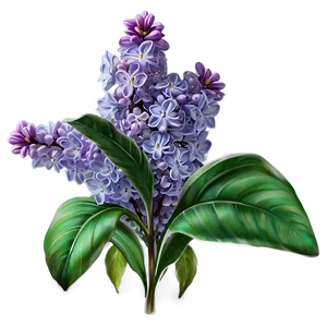 Lilac Fantasy Png 58 PNG image