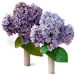 Lilac Garden PNG 05242024