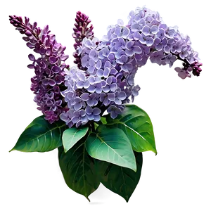 Lilac Garden PNG Dpf