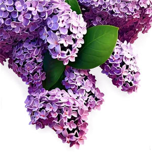 Lilac Glow PNG Ink PNG