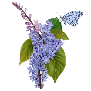 Lilac Harmony Png Egp PNG image