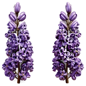 Lilac Illustration PNG Wla