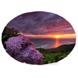 Lilac Sunset PNG 06122024