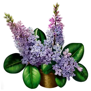 Lilac Symphony PNG 06122024
