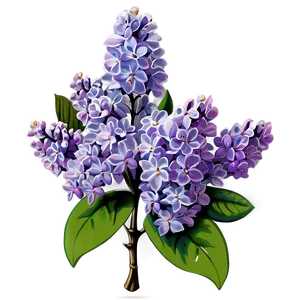 Lilac Symphony Png Cha16 PNG image