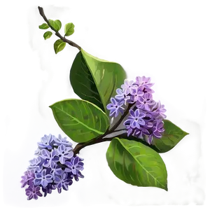 Lilac Twig Png Myy73 PNG image