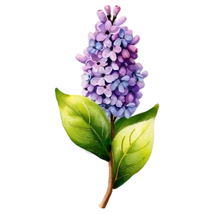 Lilac Watercolor PNG 06122024