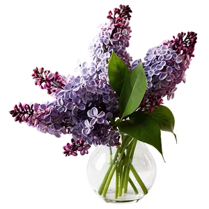 Lilacs In Vase PNG Sjj