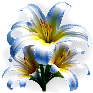 Lilies And Daisies Png 10 PNG image