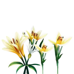 Lilies And Dragonflies PNG 06282024