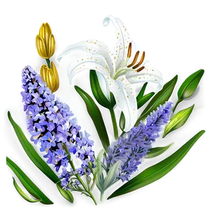 Lilies And Lavender PNG 06282024