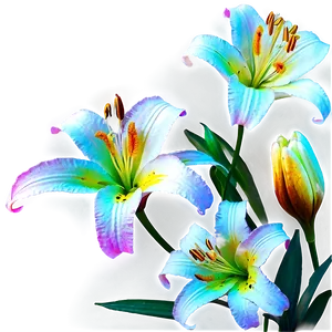 Lilies In Moonlight PNG 06282024