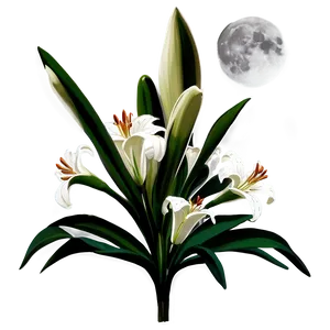 Lilies In Moonlight PNG Ynq47 PNG