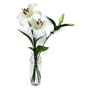 Lilies In Vase PNG 06272024