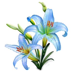 Lilies With Dewdrops PNG 73