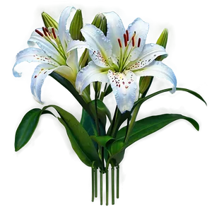 Lilies With Dewdrops PNG Iwh PNG