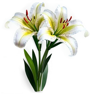 Lily Flower Arrangement PNG 06272024