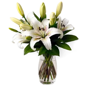 Lily Flower Arrangement PNG 06272024