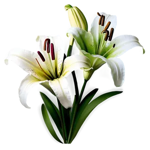 Lily Flower Bouquet Png 06272024 PNG image