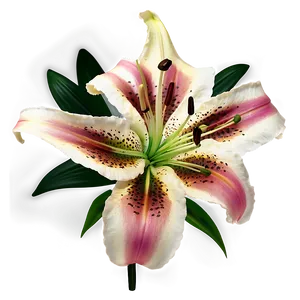 Lily Flower Bouquet Png Gwc PNG image