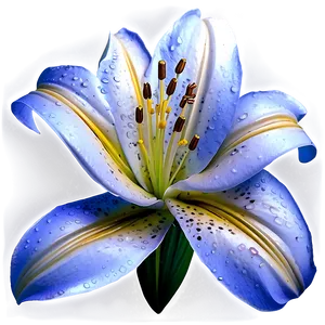 Lily Flower Emblem PNG 33