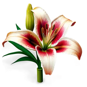 Lily Flower Garden Png Ncf96 PNG image