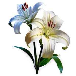 Lily Flower Garden Png Nne95 PNG image