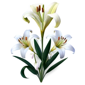 Lily Flower Pattern PNG Sok38 PNG