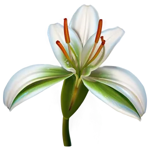 Lily Flower Petals PNG 96